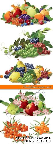 Свежие фрукты часть 2 | Fresh fruits vector set 2