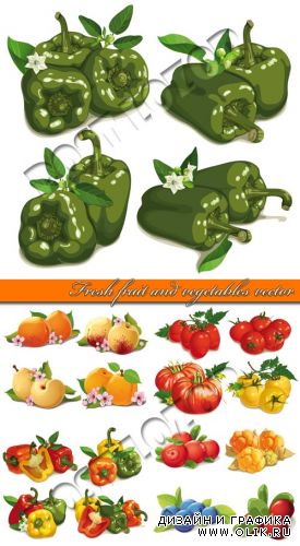 Свежие овощи и фрукты | Fresh fruit and vegetables vector