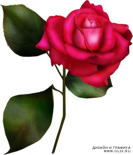 Pink Rose Как хороши, как свежи были розы