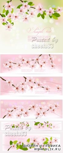 Blossoming Tree Branches Vector