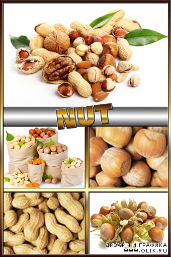 Растровый клипарт : Орех / Nut
