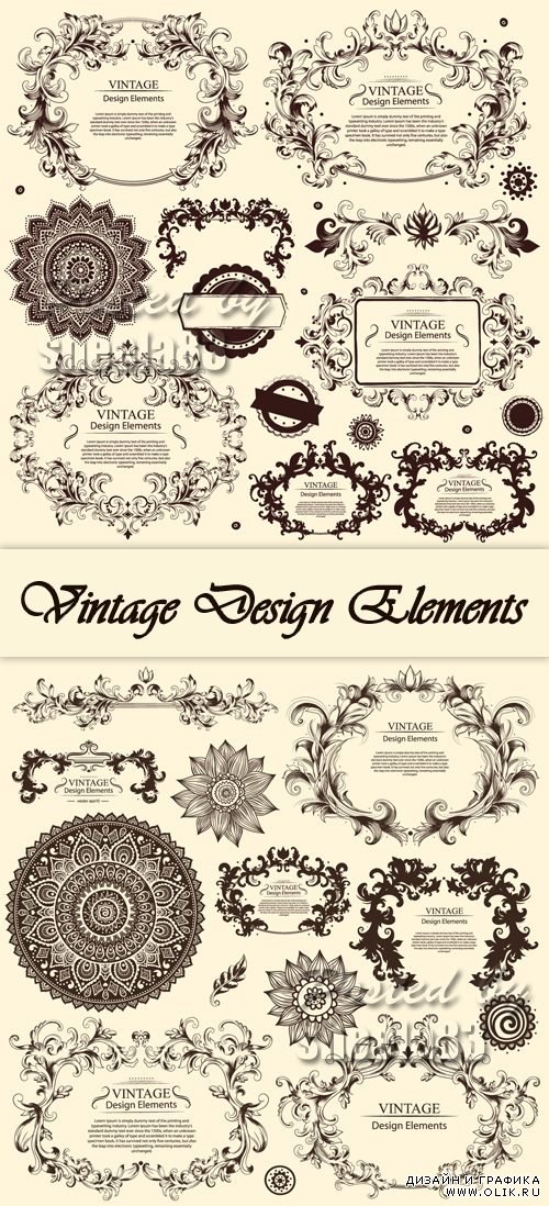 Vintage Floral Design Elements Vector