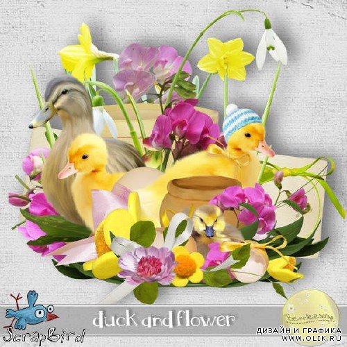 Набор для скрапбукинга - Duck and Flower