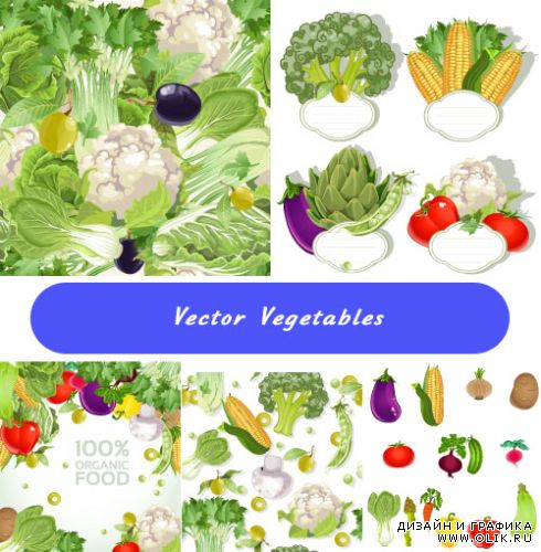 Зеленые продукты (Вектор)