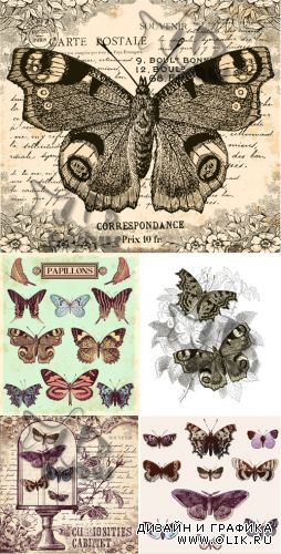 Vintage butterflies / Винтажные бабочки