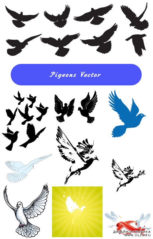 Коллекция птиц (Вектор)