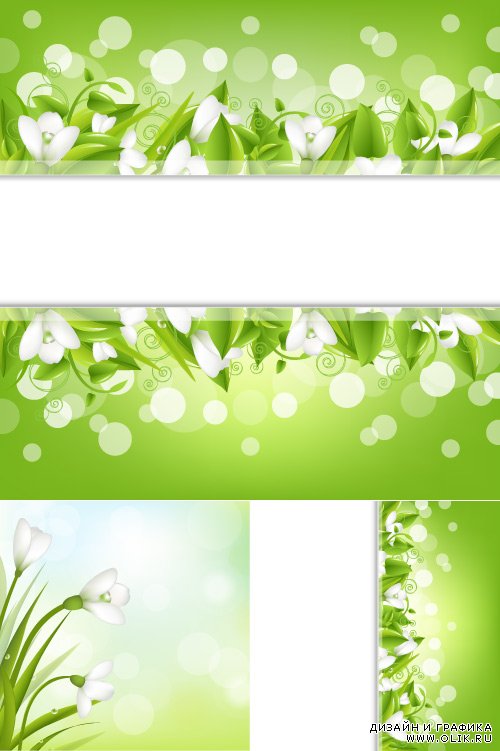 White flowers of snowdrops (Vector)