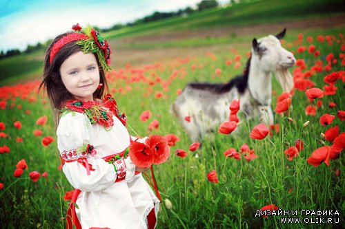 Шаблон для фотошоп - Девочка в маковом поле