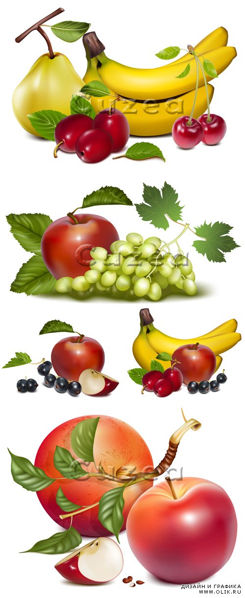 Фрукты  в векторе, часть 4 / Sweet fruits on white backgrounds in vector