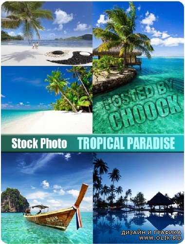 Тропический рай - растровый клипарт