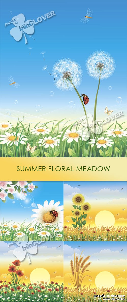 Summer floral meadow 0440