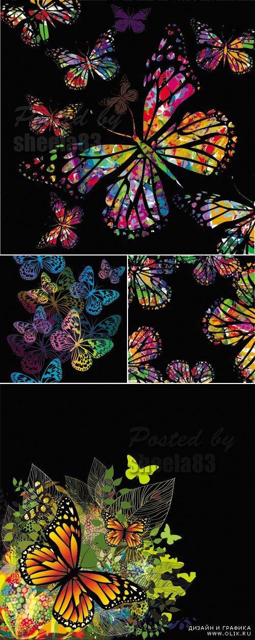 Color Butterflies Backgrounds Vector