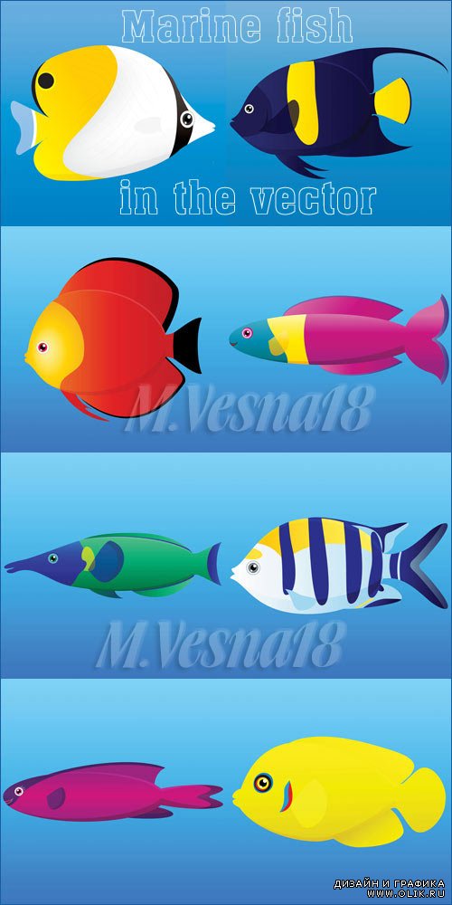 Морские рыбы в векторе / Marine fish in the vector
