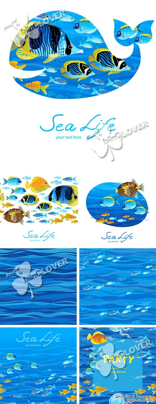 Background with tropical fishes 0444