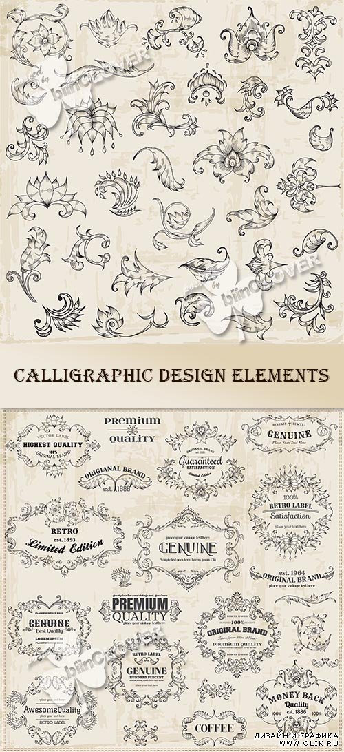 Calligraphic design elements 0464