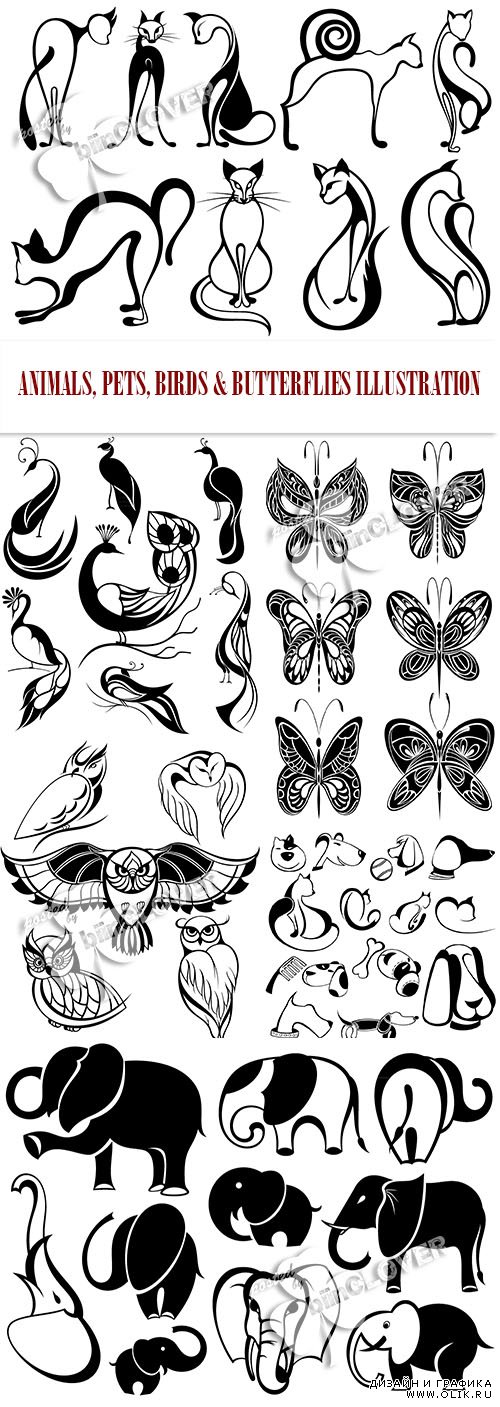 Animals, pets, birds and butterflies illustration 0464