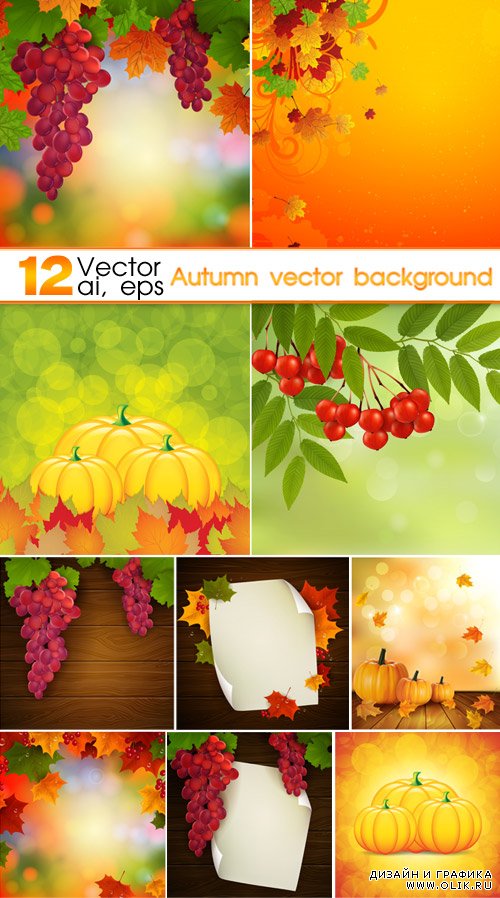 Векторные фоны - Дары осени | Autumn vector background