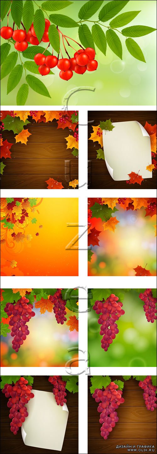 Осенний векторный клипарт, часть 2 / Autumn collage in vector, part 2