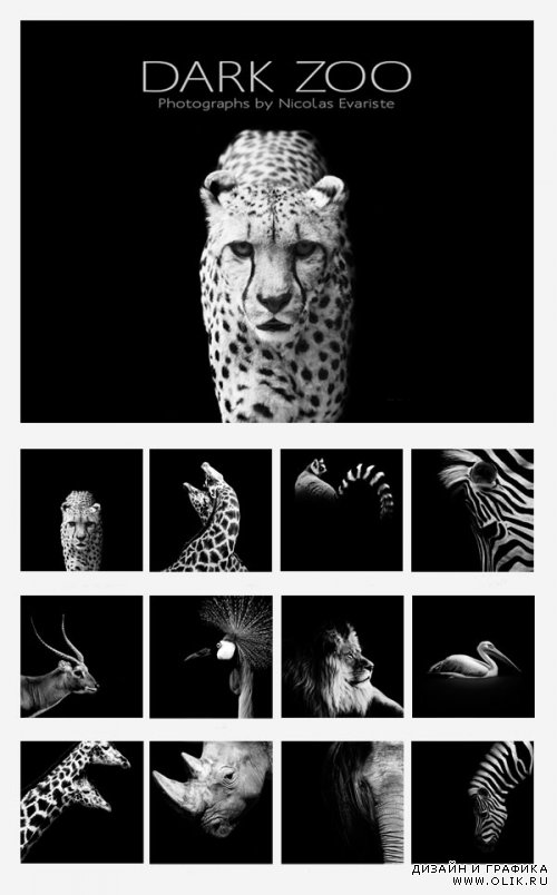 Чёрно-белые фото животных от фотографа Nicolas Evariste | Dark Zoo Photographs by Nicolas Evariste