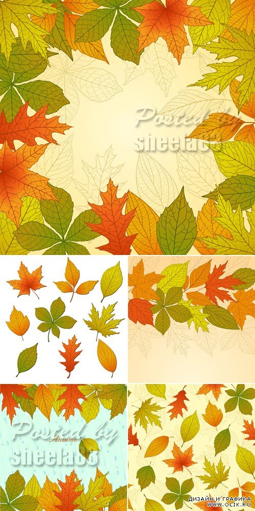 Autumn Leaves Backgrounds Vector 3