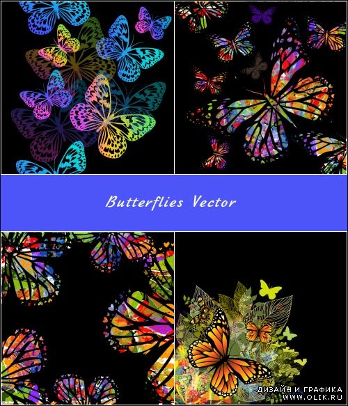 Красивые цветные и черные бабочки 2 (Вектор)