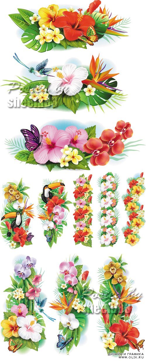 Tropical Flowers Banners, Borders Vector