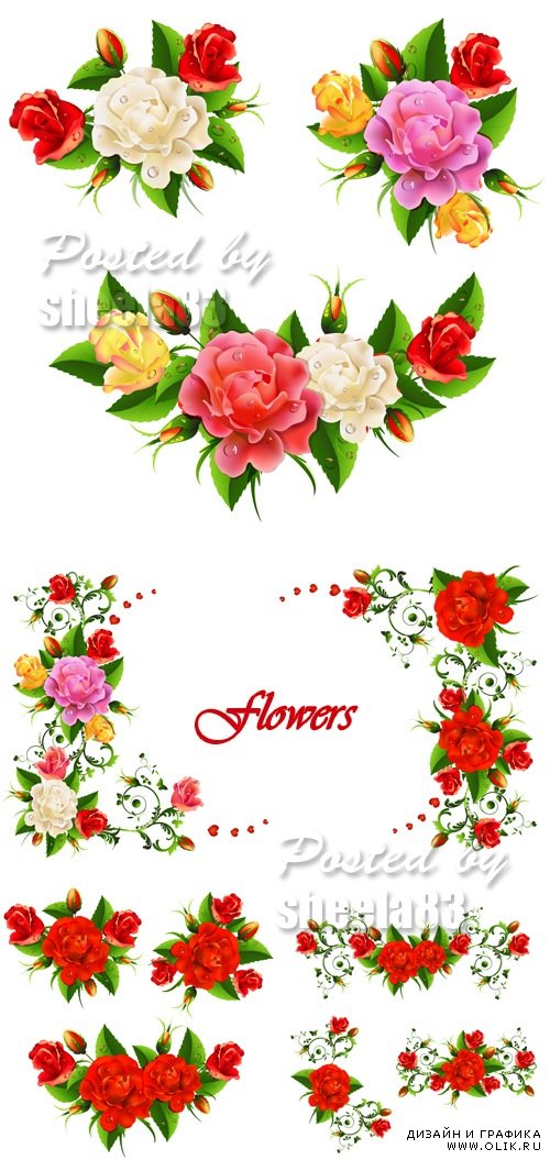 Beautiful Color Flowers Vector