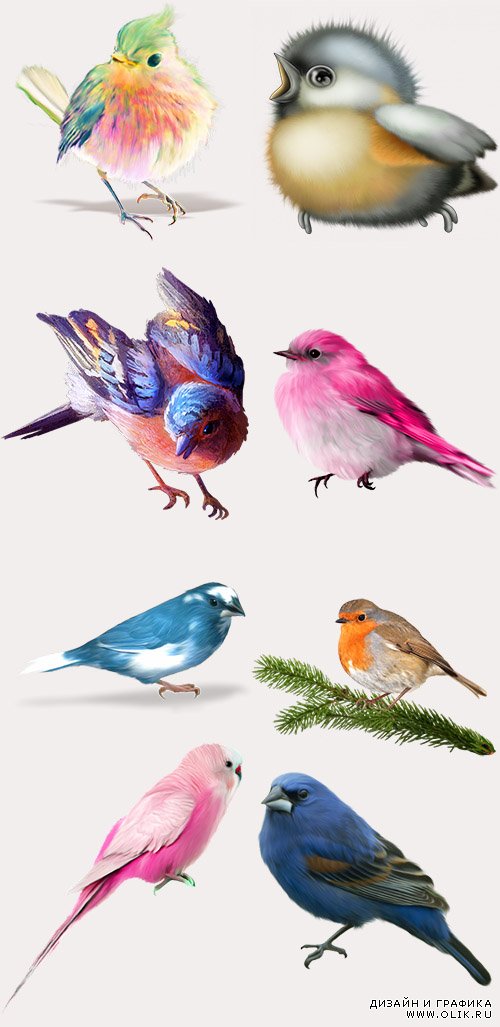 Красивые птицы. Beautiful Birds PNG