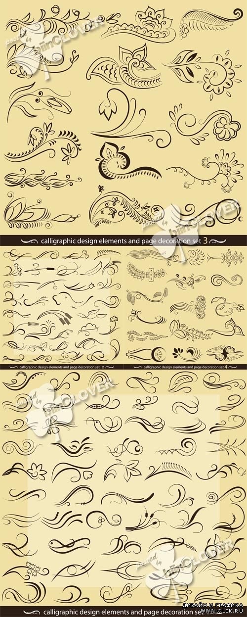 Calligraphic design elements 0502