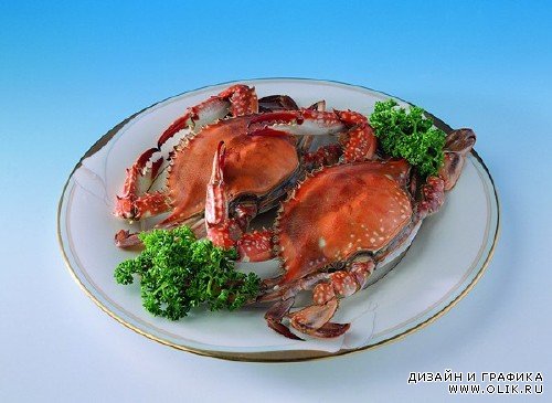 Морепродукты: Блюда из крабов