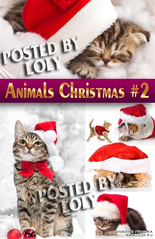 Животные на Рождество 2014 #2 - Растровый клипарт