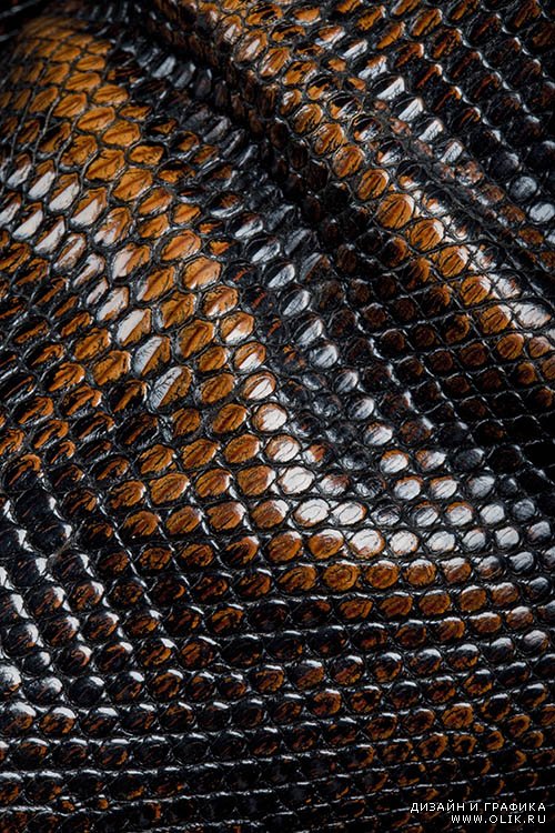Растровый клипарт - текстура кожи змеи