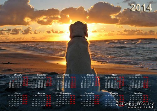Календарь с животными - Собачка на пляже очарована закатом