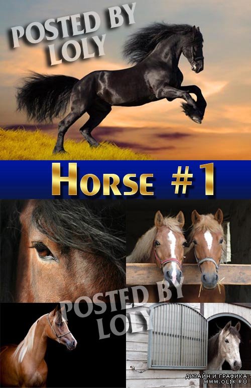 Лошади #1 - Растровый клипарт