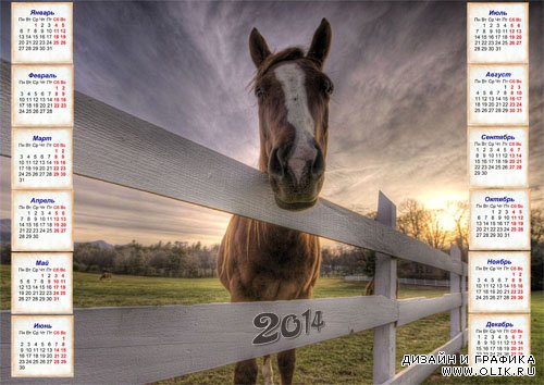  Календарь на 2014 год - Лошадь в загоне 