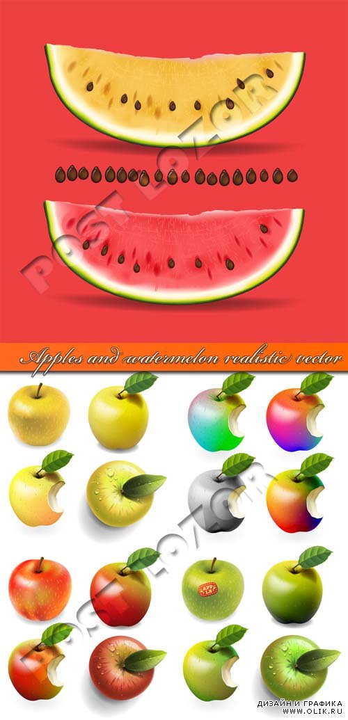 Яблоко и арбуз | Apples and watermelon realistic vector