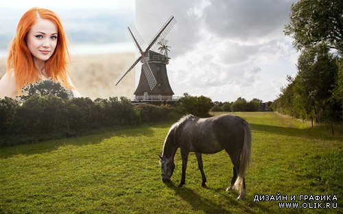  Рамка для фотографии - На зеленой полянке пасется лошадь возле мельницы 