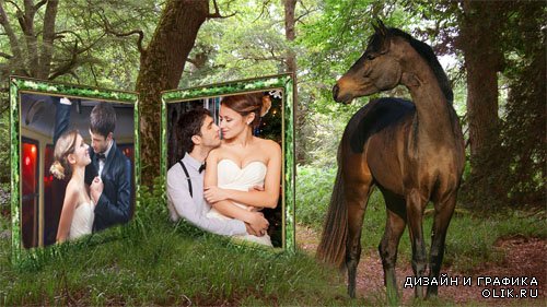  Рамка для фотомонтажа - Лошадь стоит в лесу 