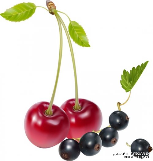 Витаминный клипарт -  ягоды и фрукты на прозрачном фоне