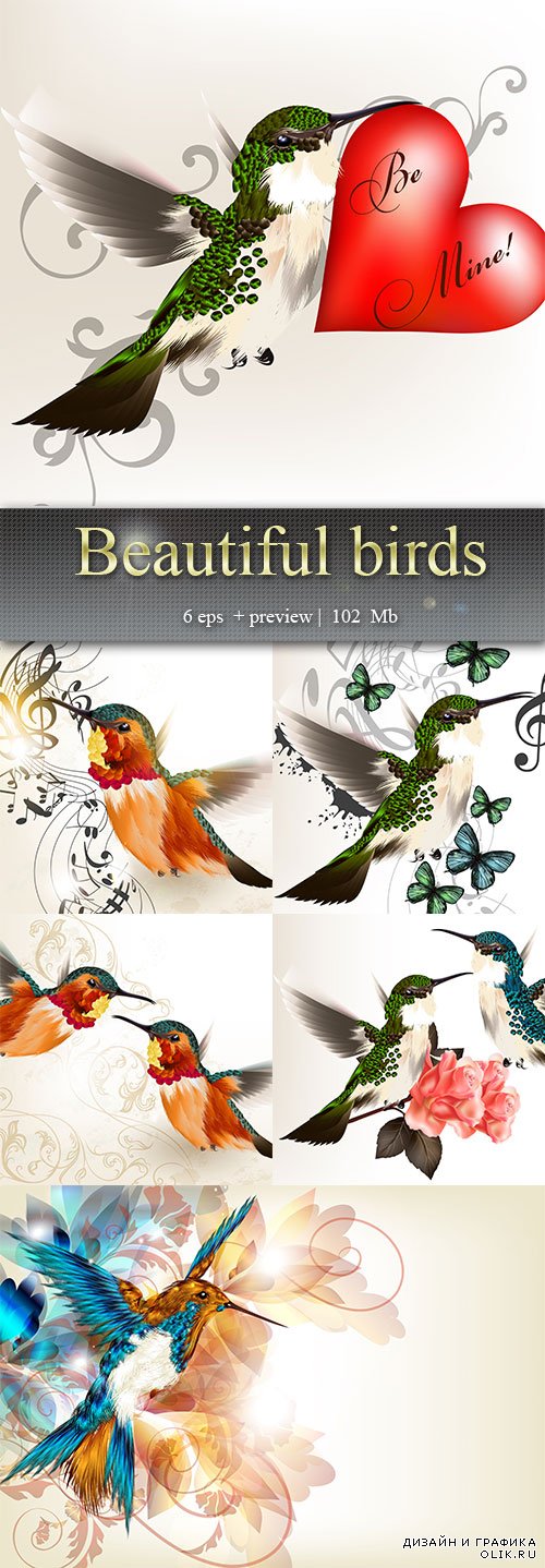 Красивые птицы – Beautiful birds