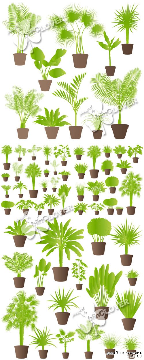 Exotic jungle plants set 0554