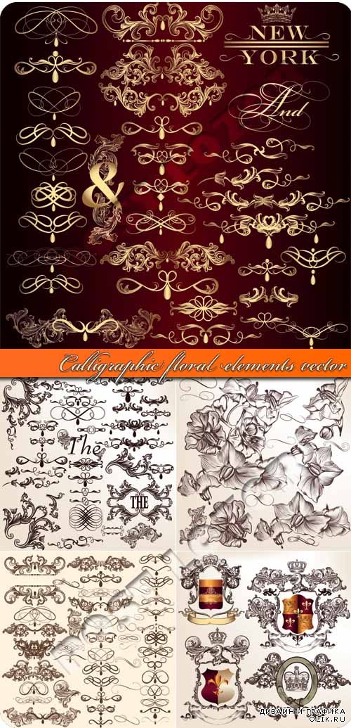 Каллиграфия флора элементы дизайна | Calligraphic floral elements vector