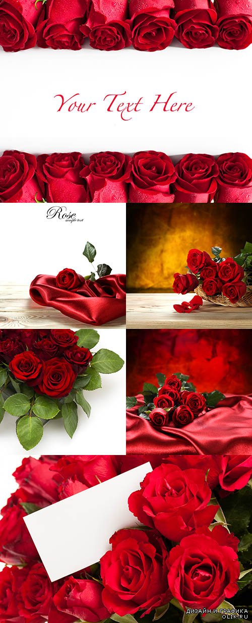 Растровый клипарт - Красные розы