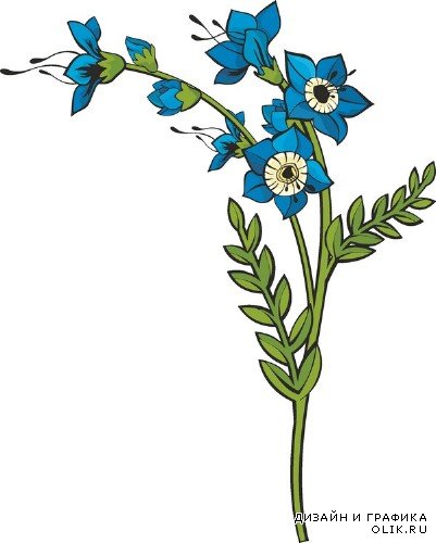 Цветы и растения - векторный клипарт