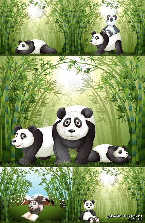 Панды в бамбуке