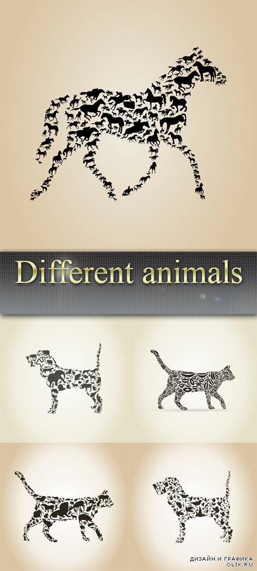 Разные животные - Different animals