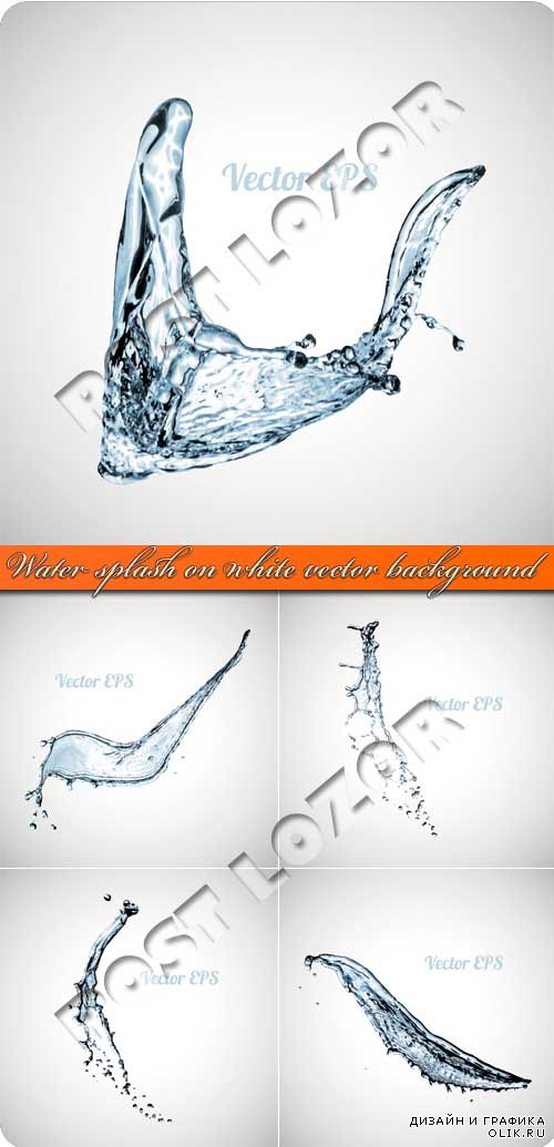Всплекс вода | Water splash on white vector background
