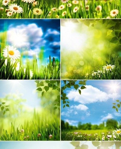 Красочные, весенние фоны с цветами и зеленью, голубое небо и облака, листья деревьев