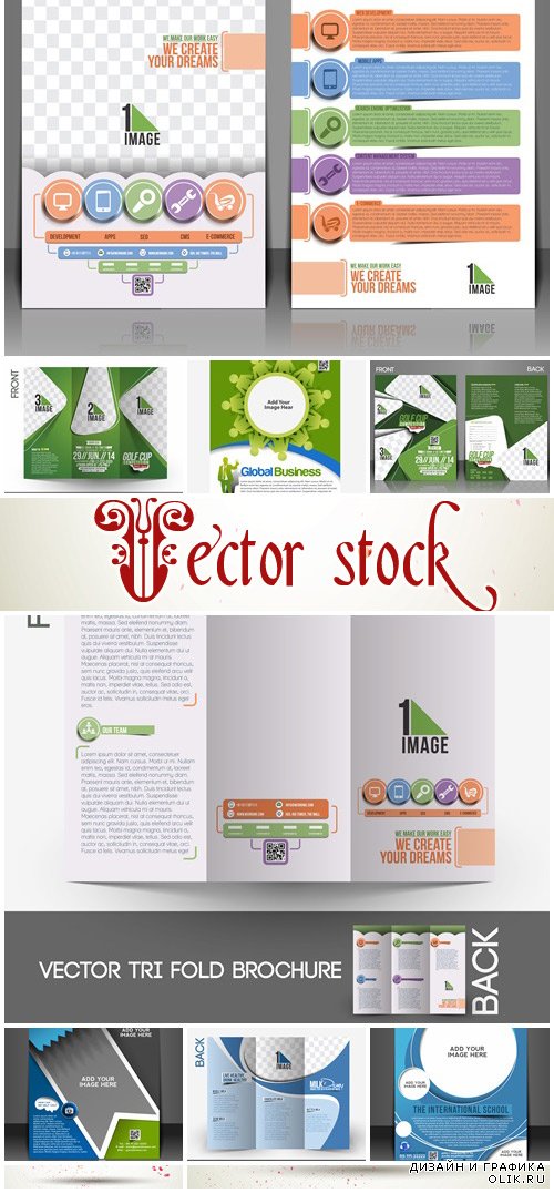 Vector - Business brochure and other