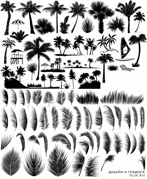Vector Set - Palm and Leaves Shapes
